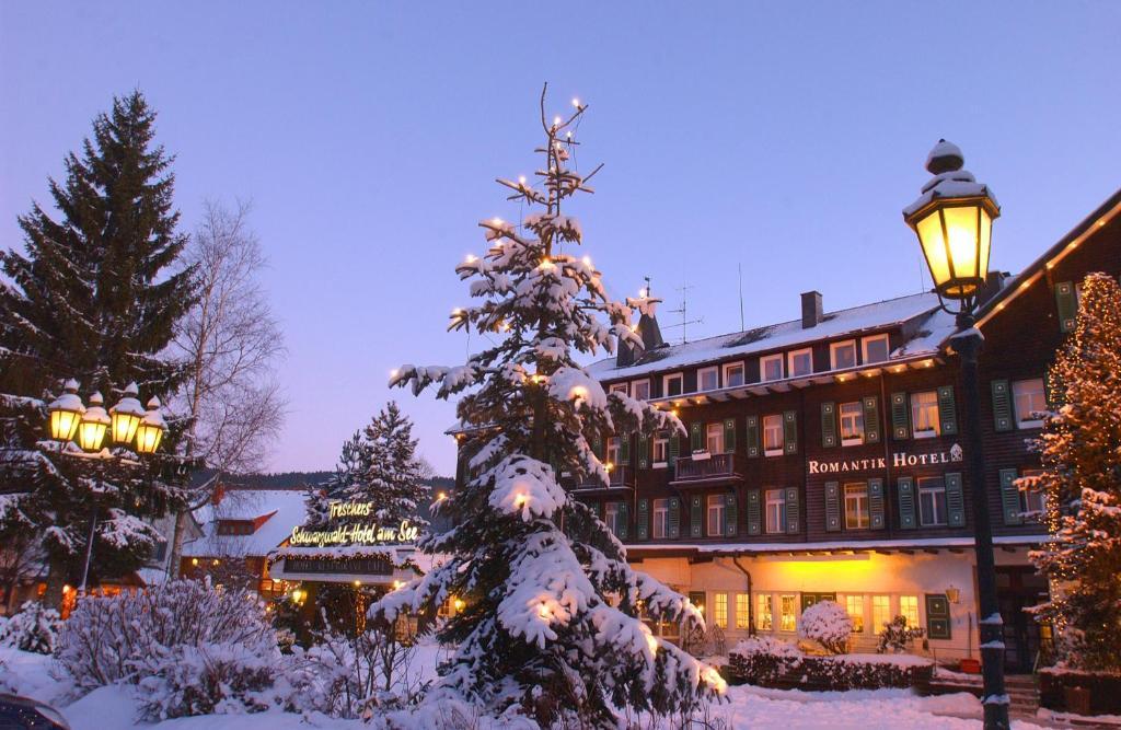 Treschers Schwarzwald Hotel Титизее-Нойштадт Экстерьер фото